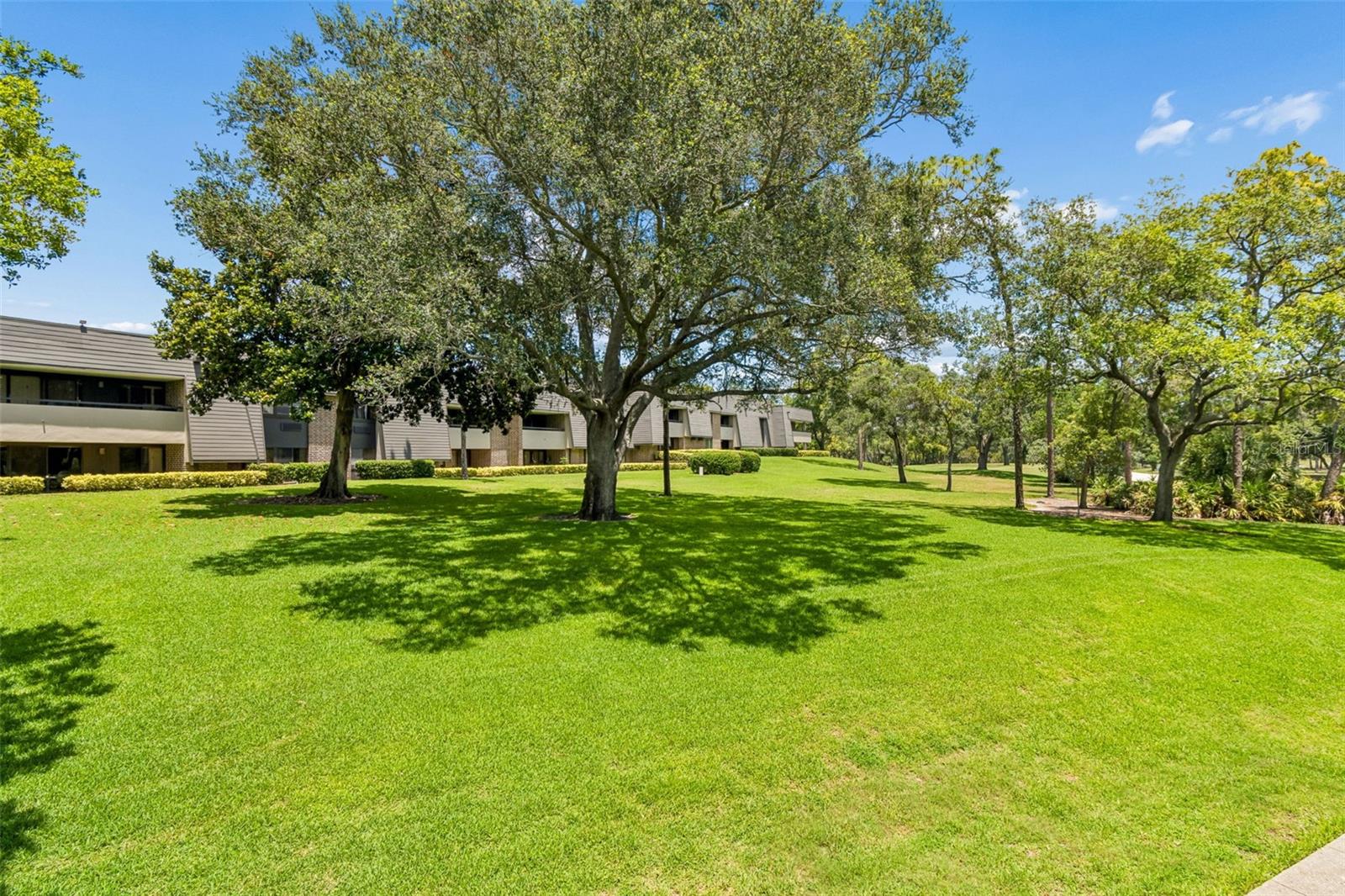 36750 US HIGHWAY 19 #21202, PALM HARBOR, FL, 34684