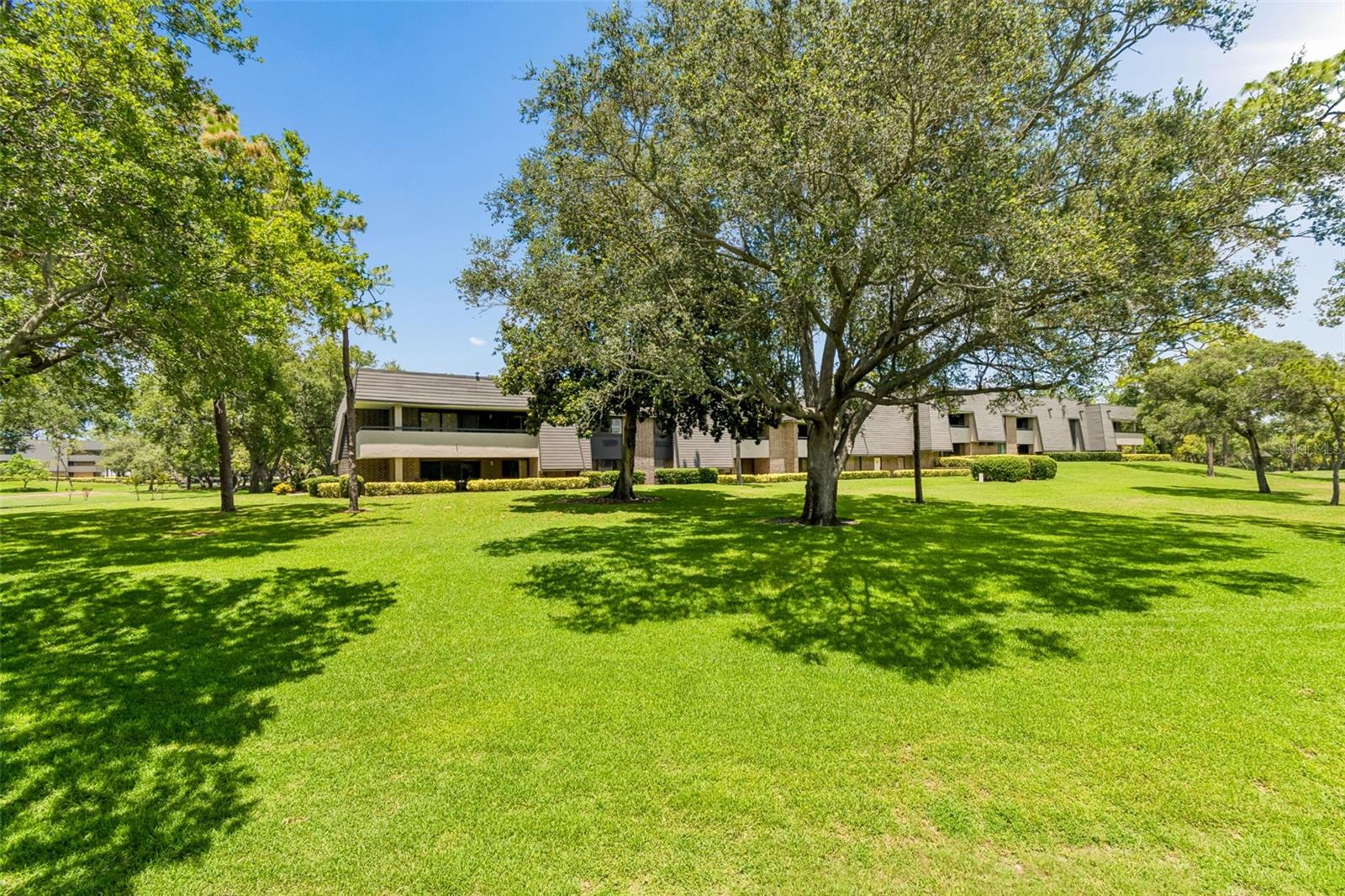 36750 US HIGHWAY 19 #21202, PALM HARBOR, FL, 34684