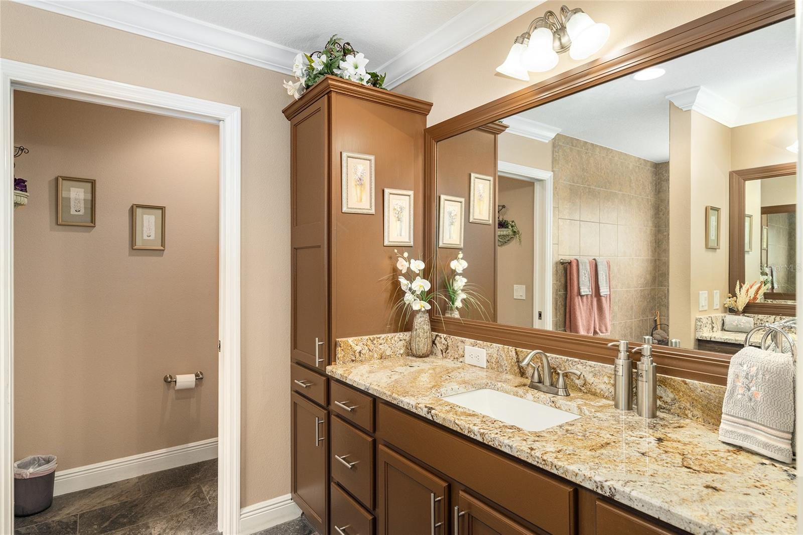 387 HARLOW LN, THE VILLAGES, FL, 32163
