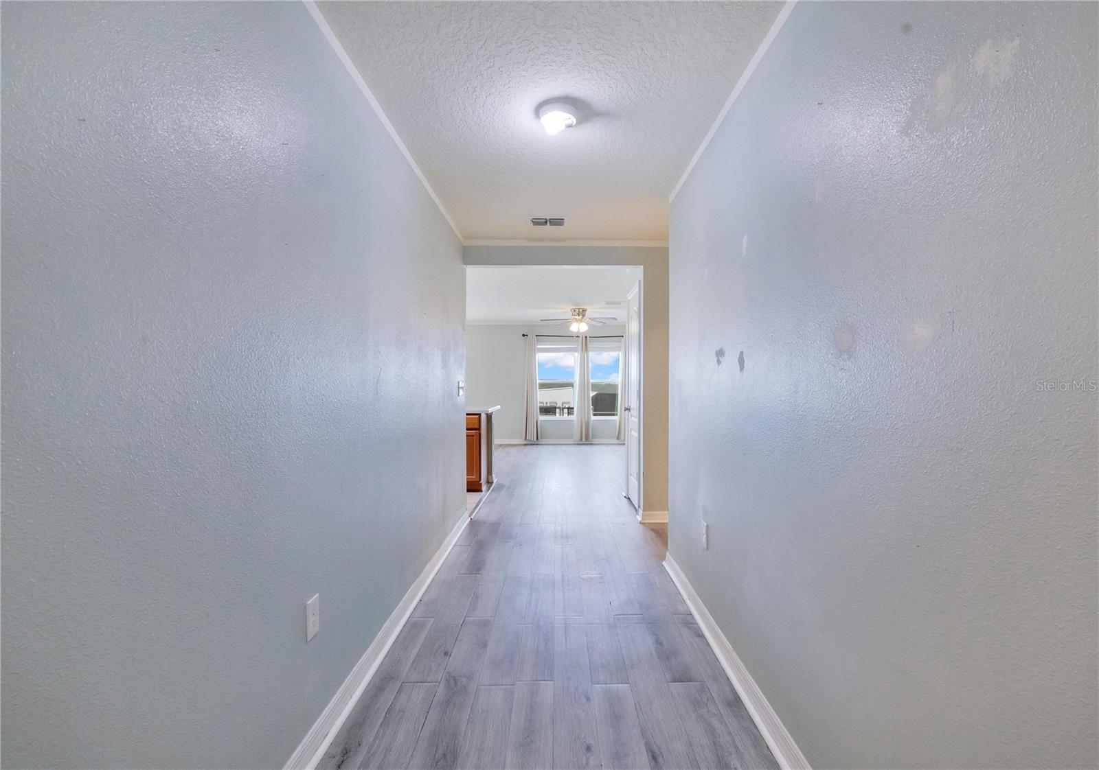 2465 BEGONIA ST, MASCOTTE, FL, 34753