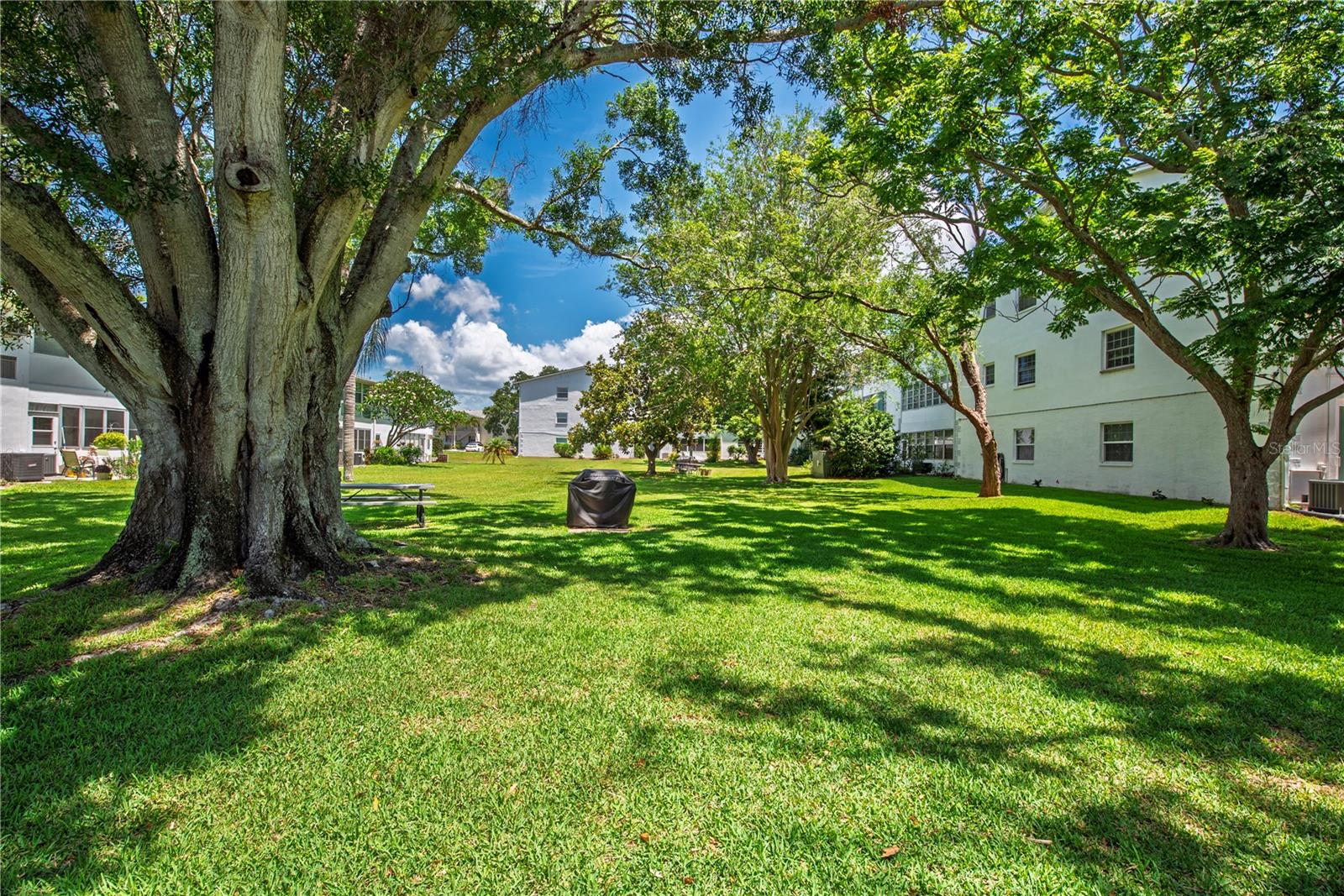300 CLYDE LN #104, DUNEDIN, FL, 34698