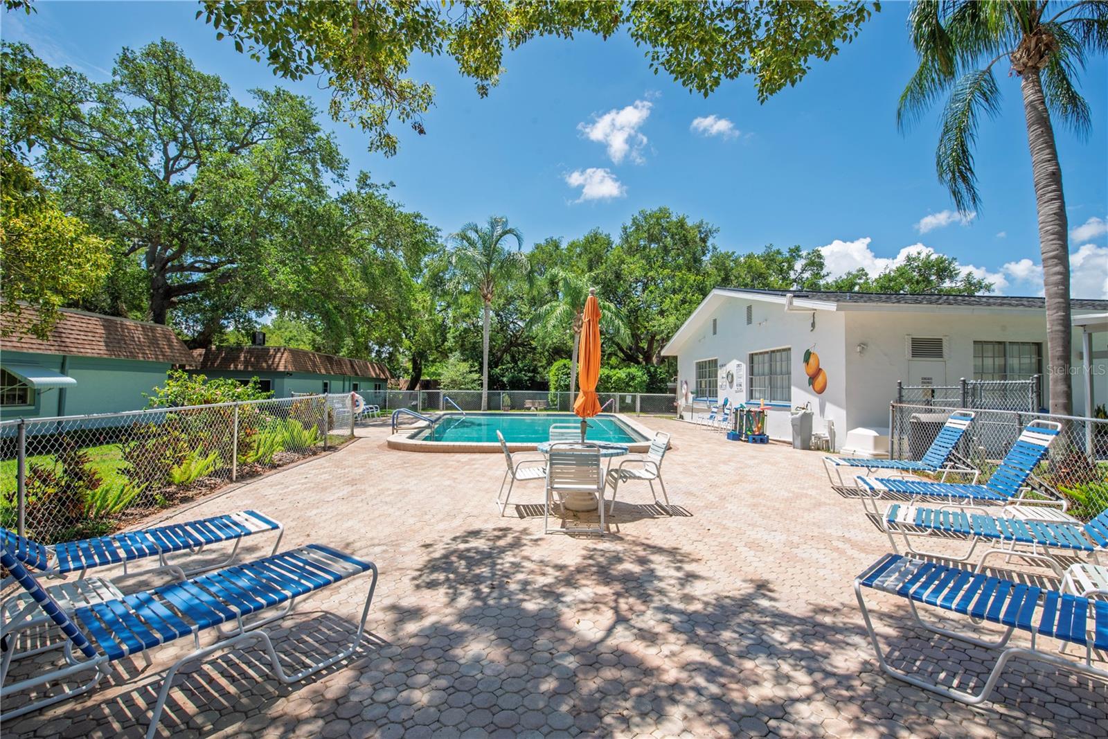 300 CLYDE LN #104, DUNEDIN, FL, 34698