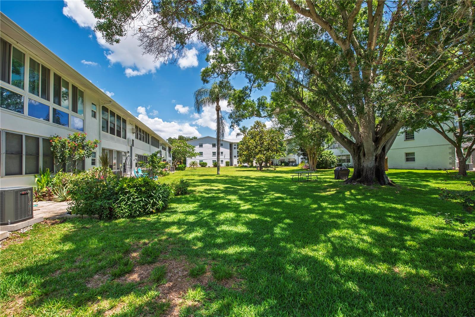 300 CLYDE LN #104, DUNEDIN, FL, 34698