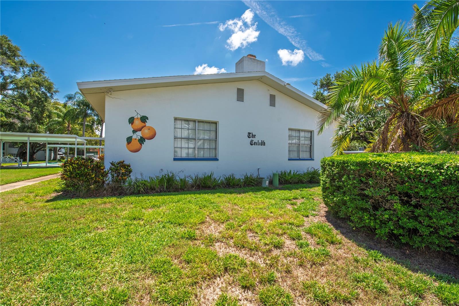 300 CLYDE LN #104, DUNEDIN, FL, 34698