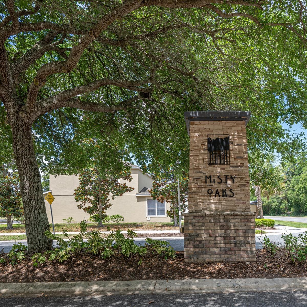 401 SPLIT OAK CT, EUSTIS, FL, 32736