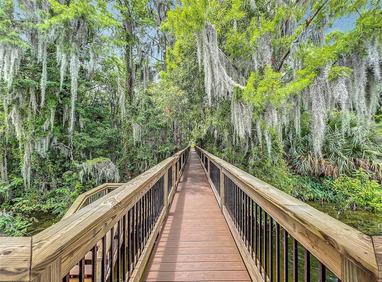 MEADOWS AT HAWKS CREST, WINTER PARK, FL, 32792