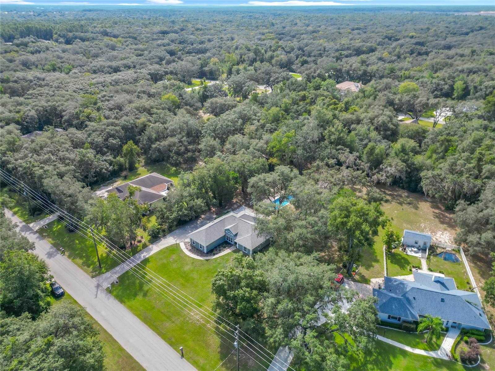 390 W OLYMPIA ST, HERNANDO, FL, 34442