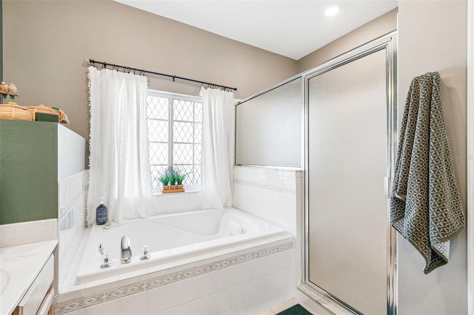1616 REGAL MIST LOOP, TRINITY, FL, 34655