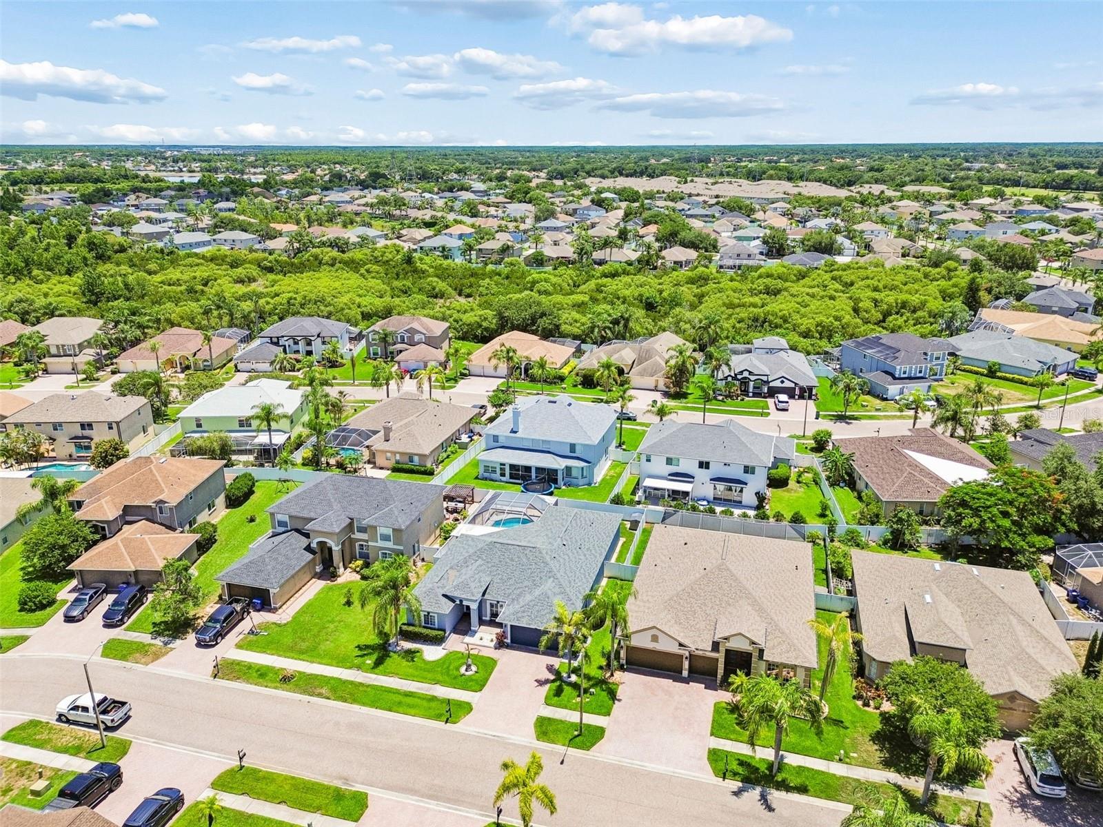 1616 REGAL MIST LOOP, TRINITY, FL, 34655