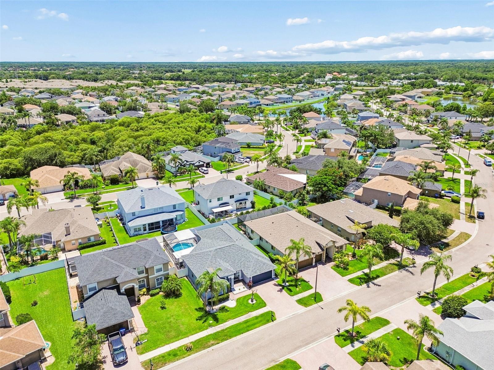 1616 REGAL MIST LOOP, TRINITY, FL, 34655