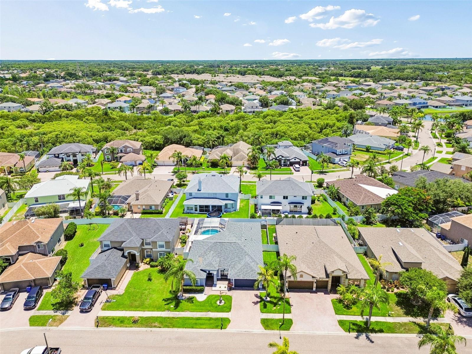 1616 REGAL MIST LOOP, TRINITY, FL, 34655