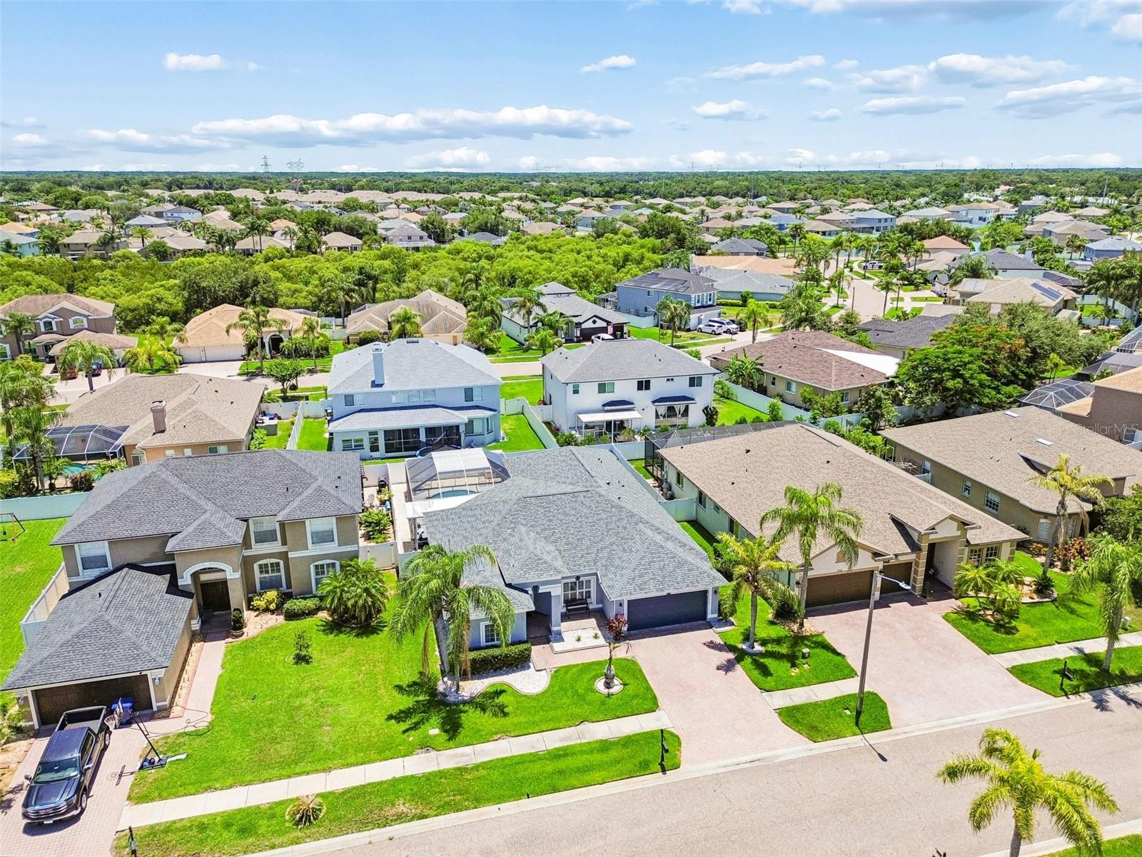 1616 REGAL MIST LOOP, TRINITY, FL, 34655