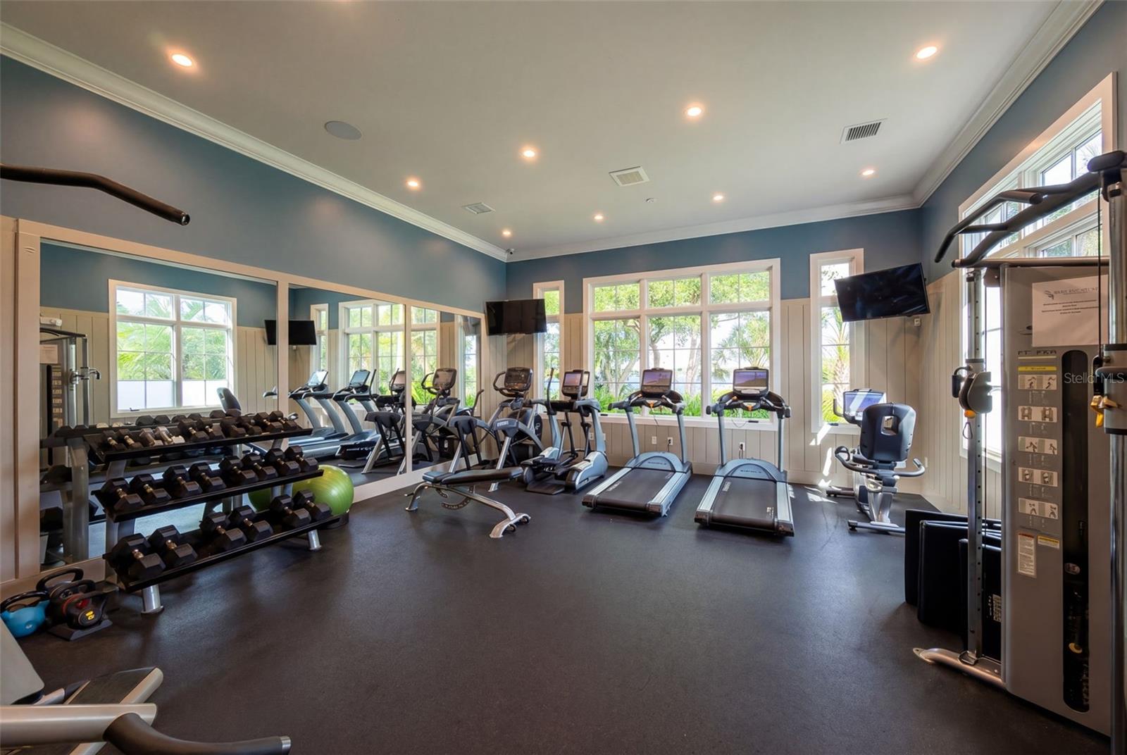 11721 RIVE ISLE RUN, PARRISH, FL, 34219