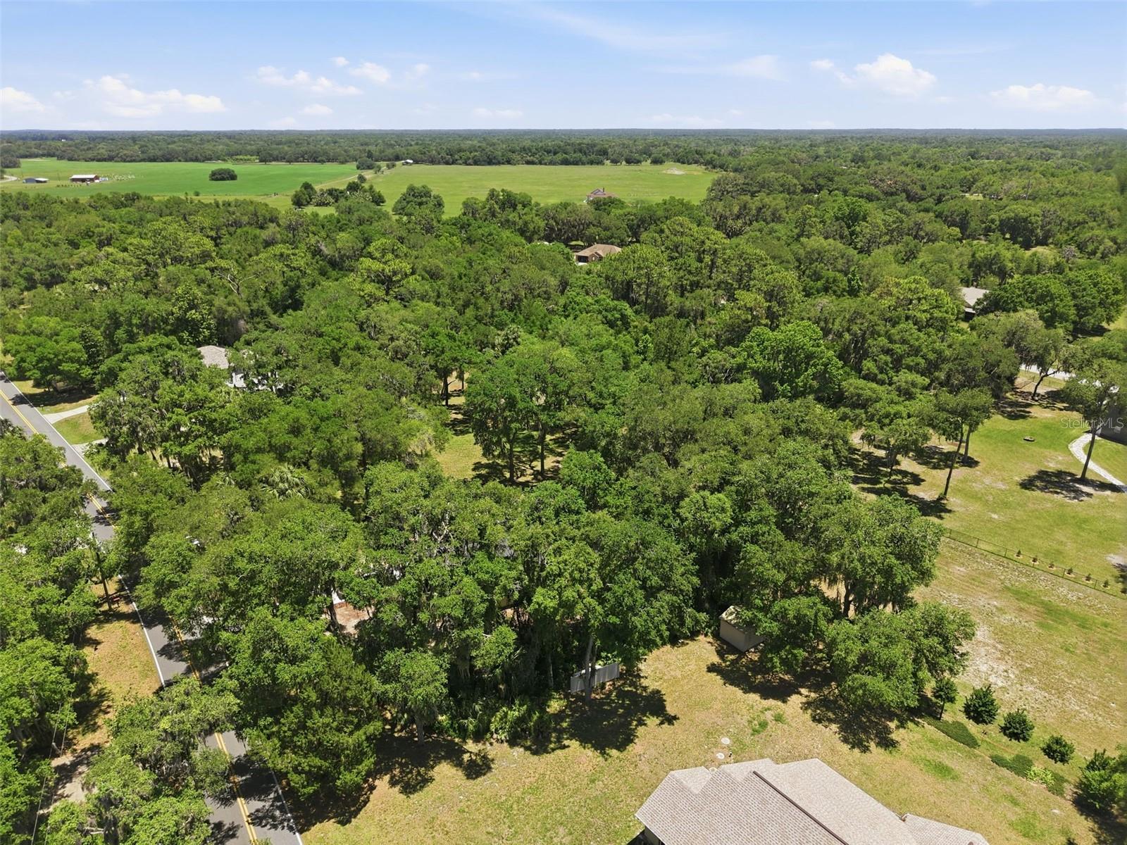 9900 W RIVERWOOD DR, CRYSTAL RIVER, FL, 34428