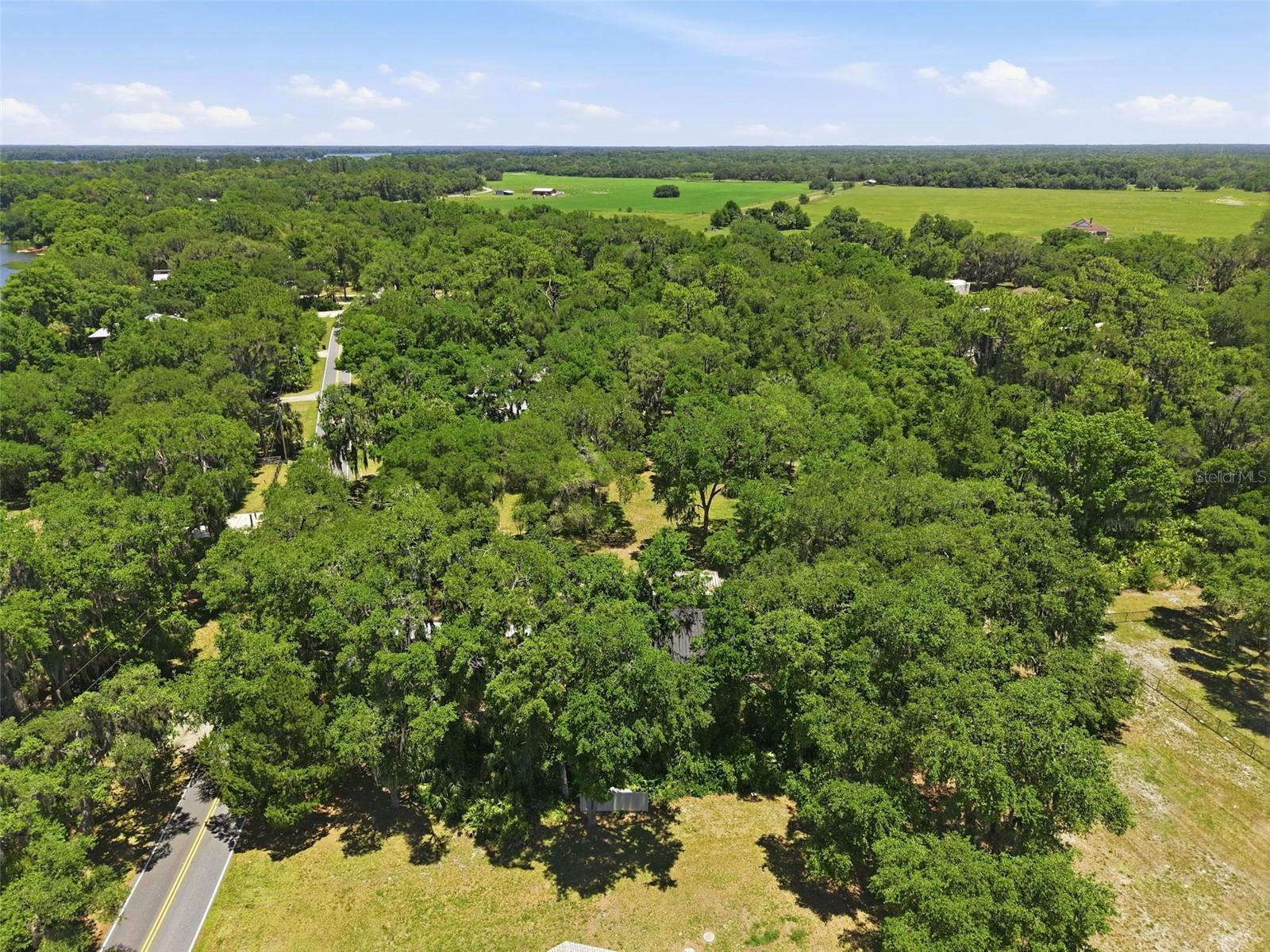 9900 W RIVERWOOD DR, CRYSTAL RIVER, FL, 34428