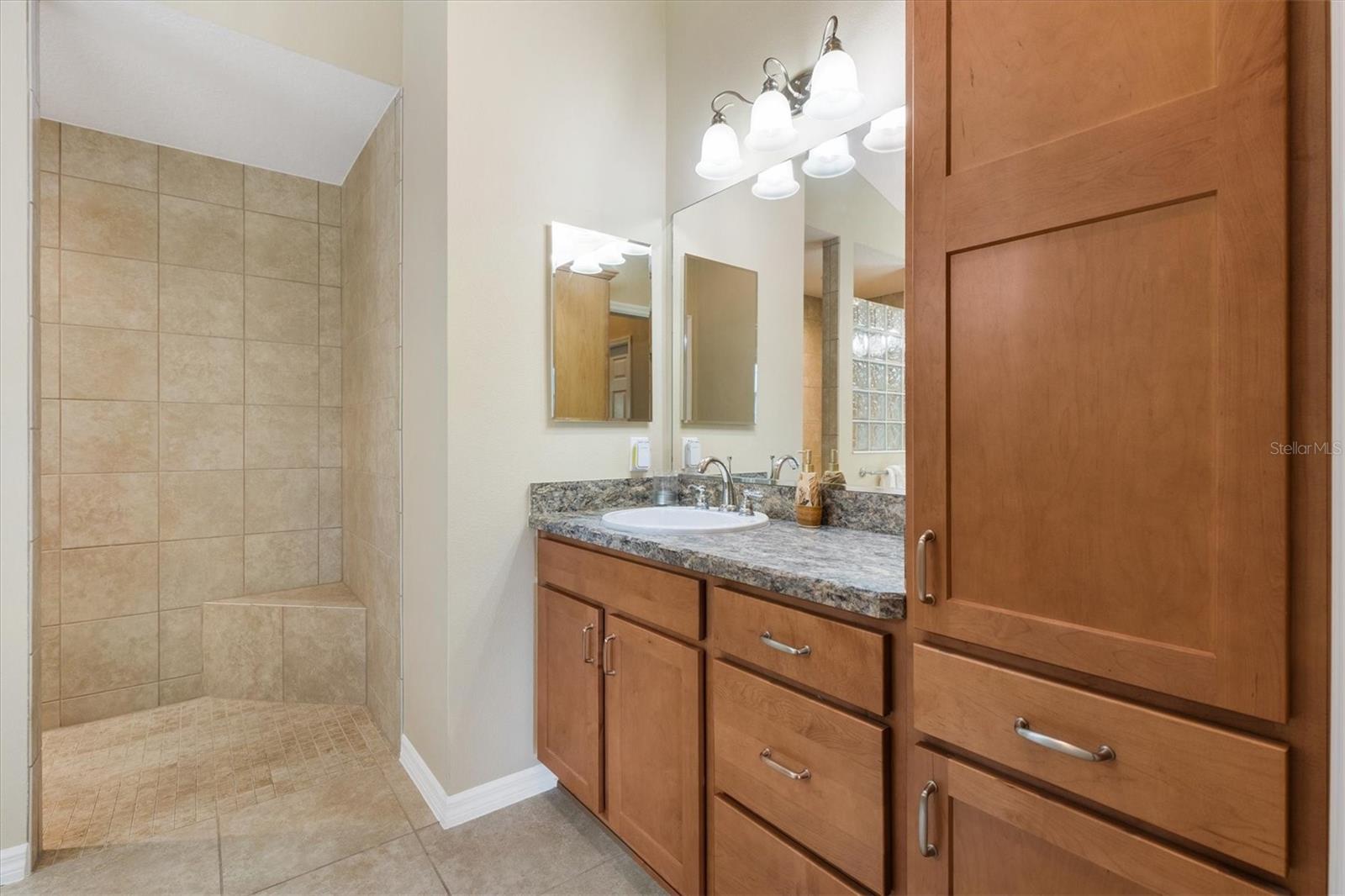 3094 CICHIELO CT, OXFORD, FL, 34484