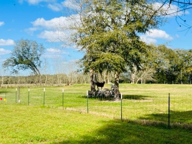 10 SW 50TH AVE, BELL, FL, 32619