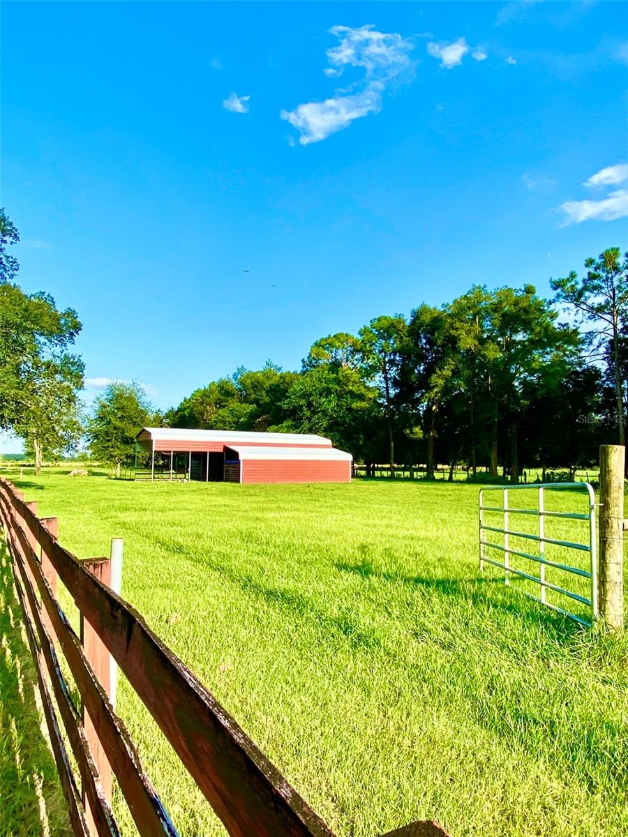10 SW 50TH AVE, BELL, FL, 32619