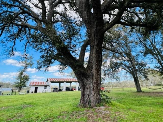 10 SW 50TH AVE, BELL, FL, 32619