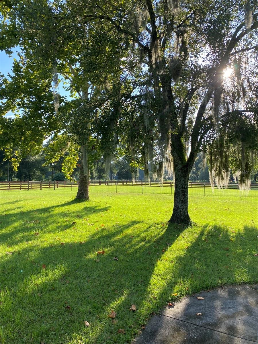 10 SW 50TH AVE, BELL, FL, 32619
