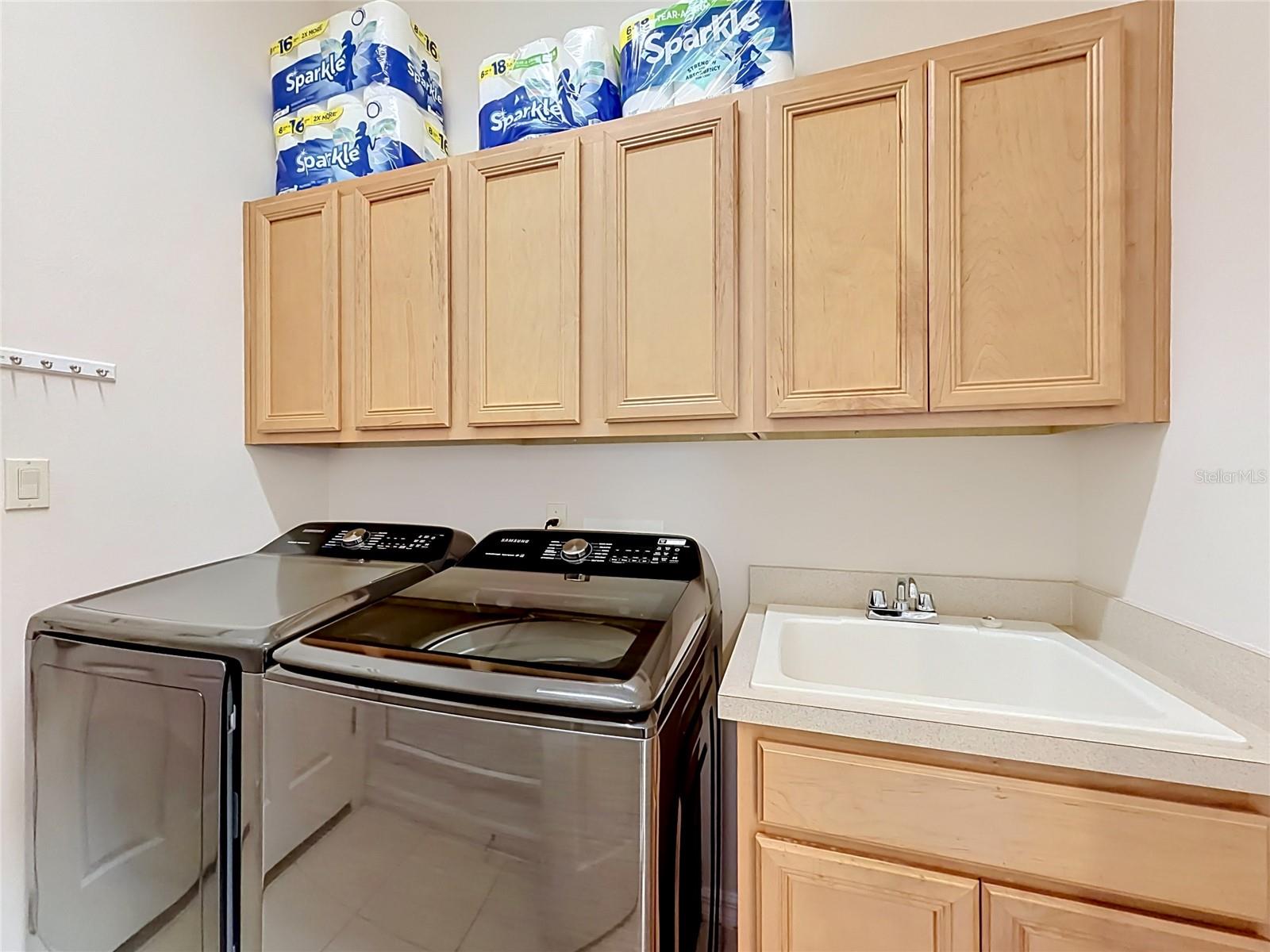 3600 MOUNT HOPE LOOP, LEESBURG, FL, 34748