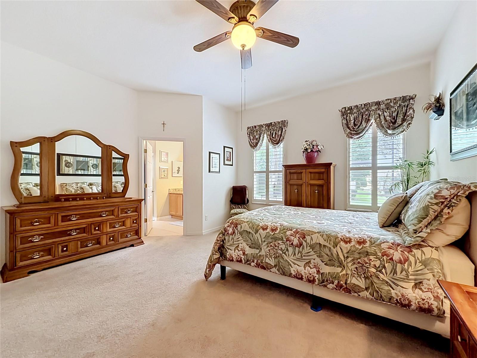 3600 MOUNT HOPE LOOP, LEESBURG, FL, 34748