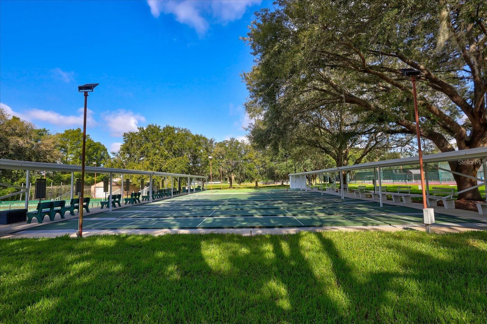 3600 MOUNT HOPE LOOP, LEESBURG, FL, 34748
