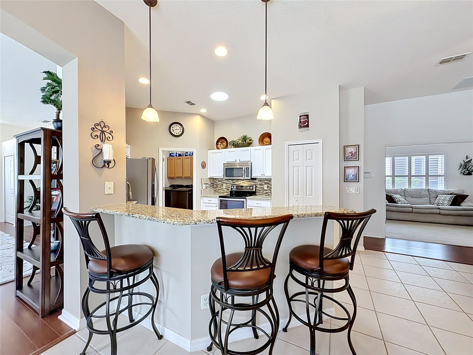 3600 MOUNT HOPE LOOP, LEESBURG, FL, 34748