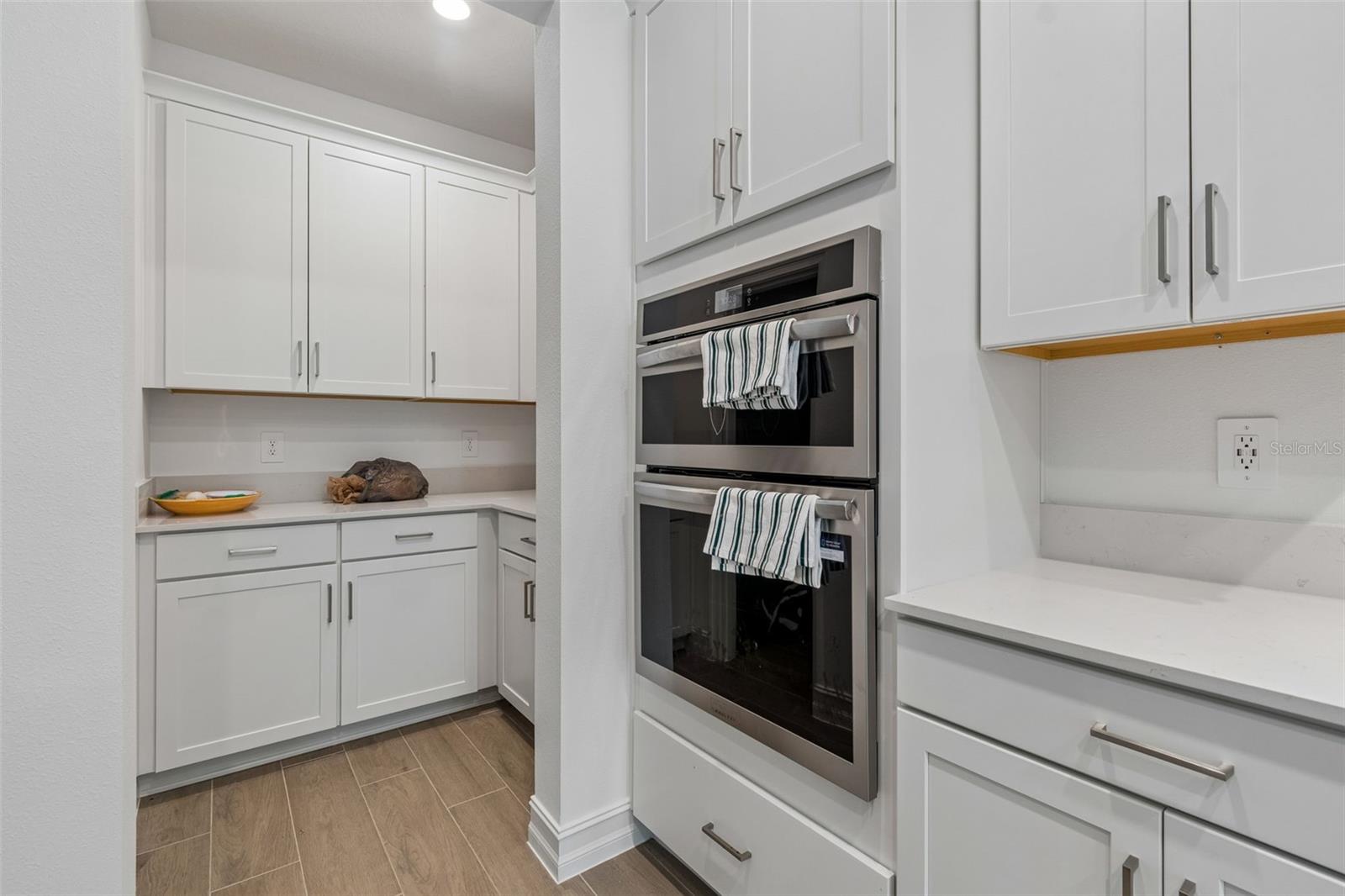 18542 SERENE LAKE LOOP, LUTZ, FL, 33548