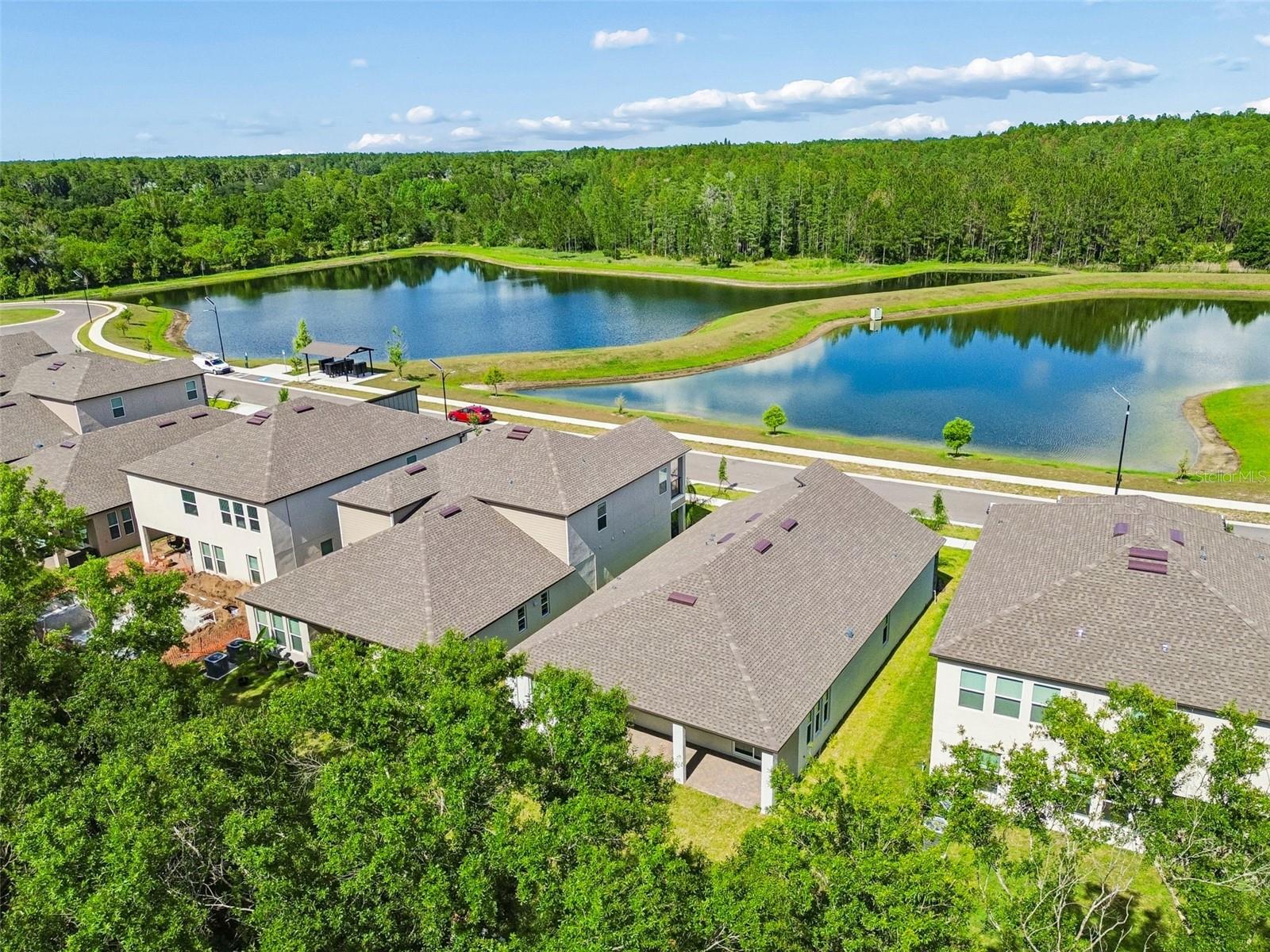 18542 SERENE LAKE LOOP, LUTZ, FL, 33548