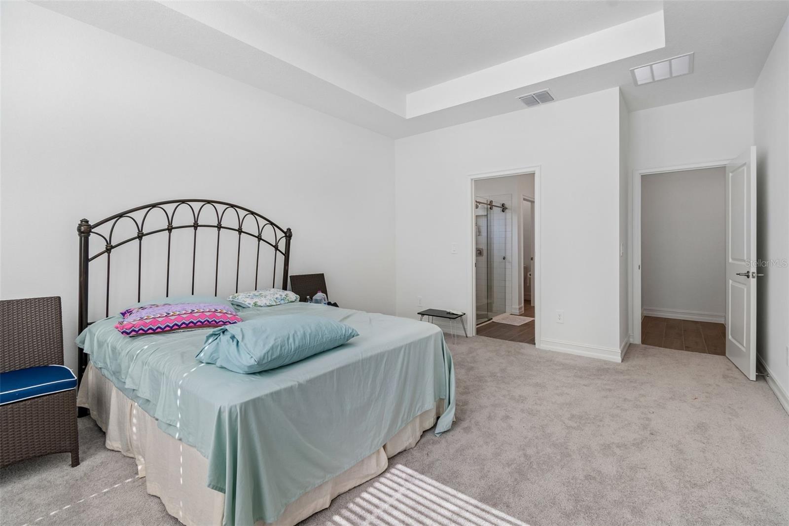 18542 SERENE LAKE LOOP, LUTZ, FL, 33548