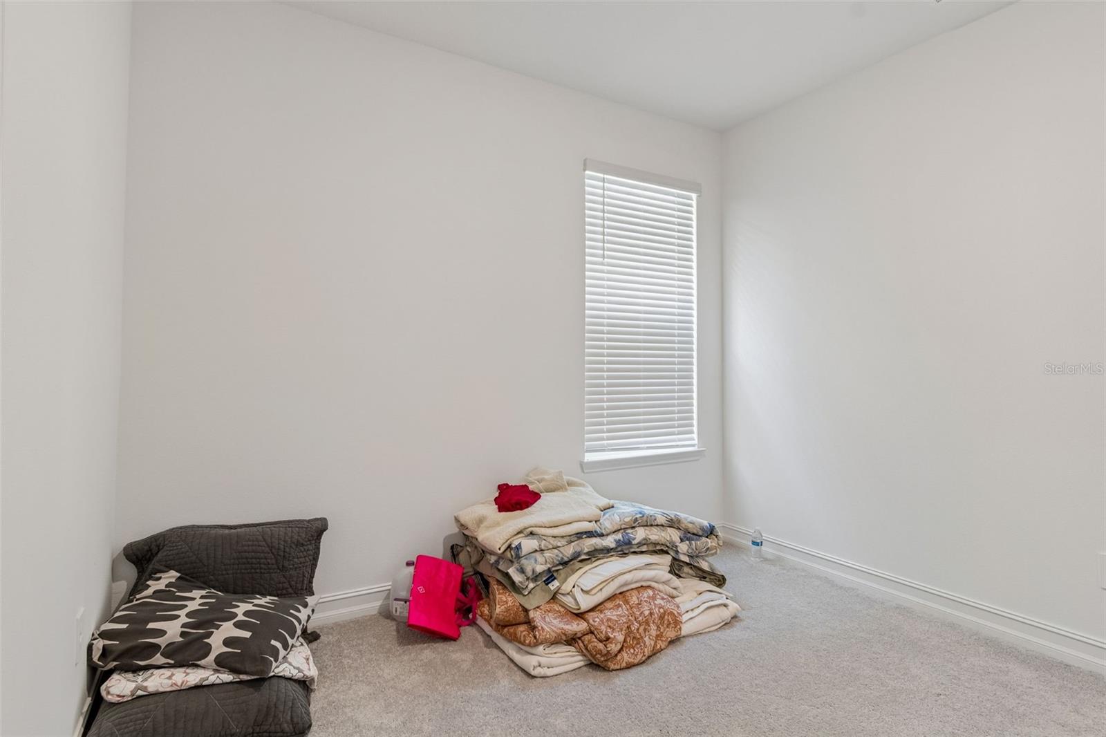 18542 SERENE LAKE LOOP, LUTZ, FL, 33548