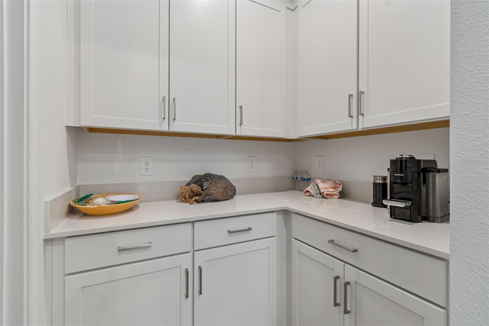 18542 SERENE LAKE LOOP, LUTZ, FL, 33548