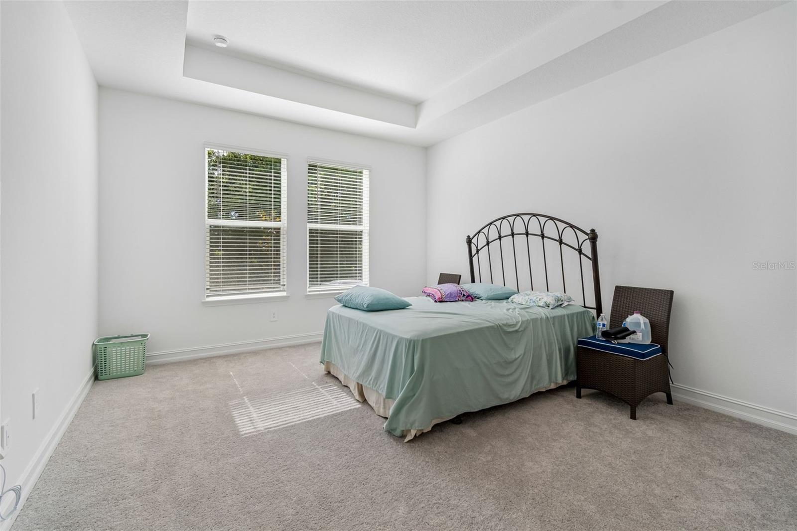 18542 SERENE LAKE LOOP, LUTZ, FL, 33548