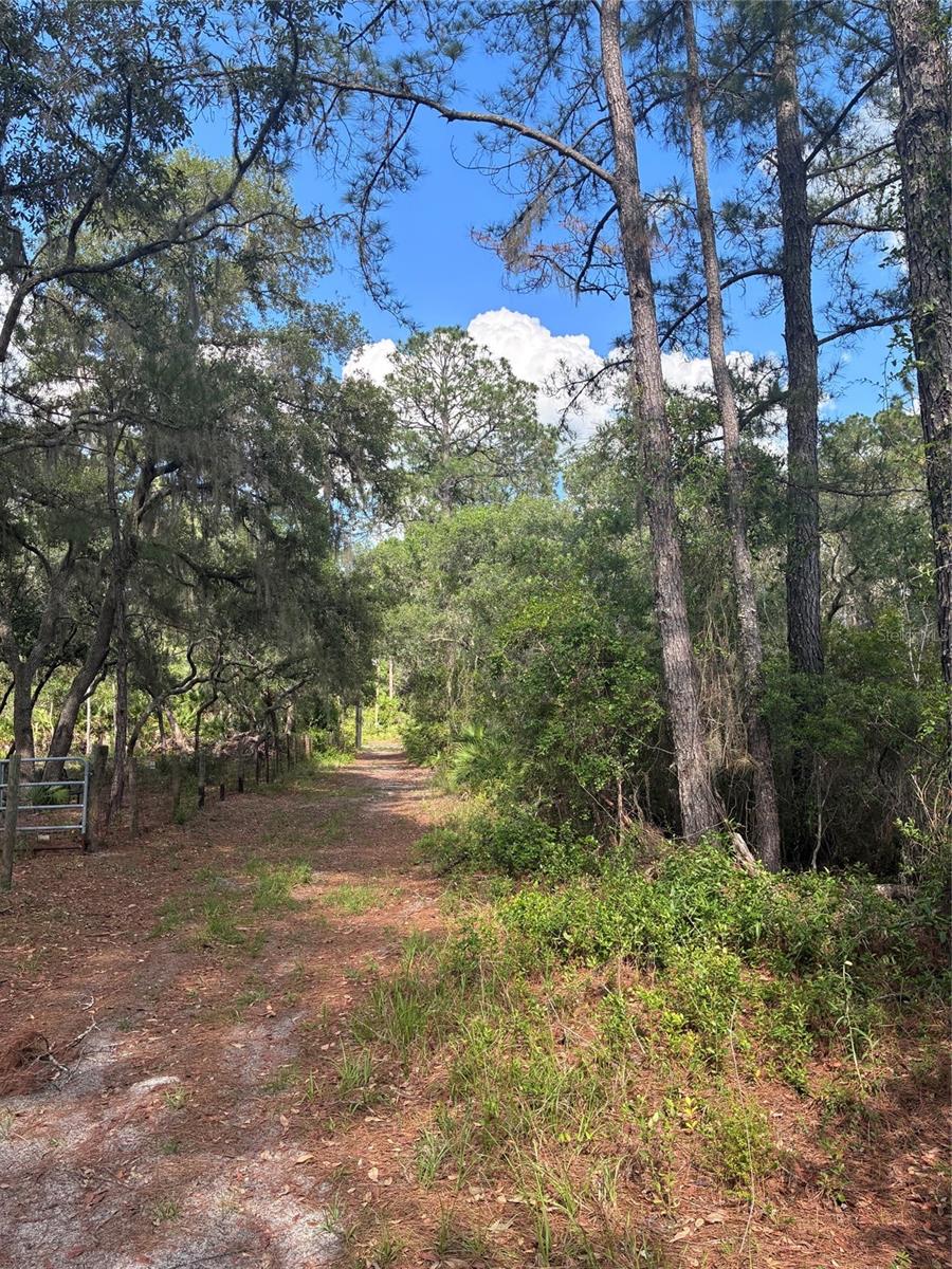 16464 NE 35 RD, CITRA, FL, 32113