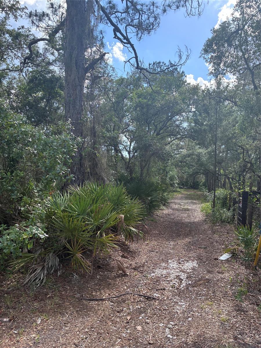 16464 NE 35 RD, CITRA, FL, 32113