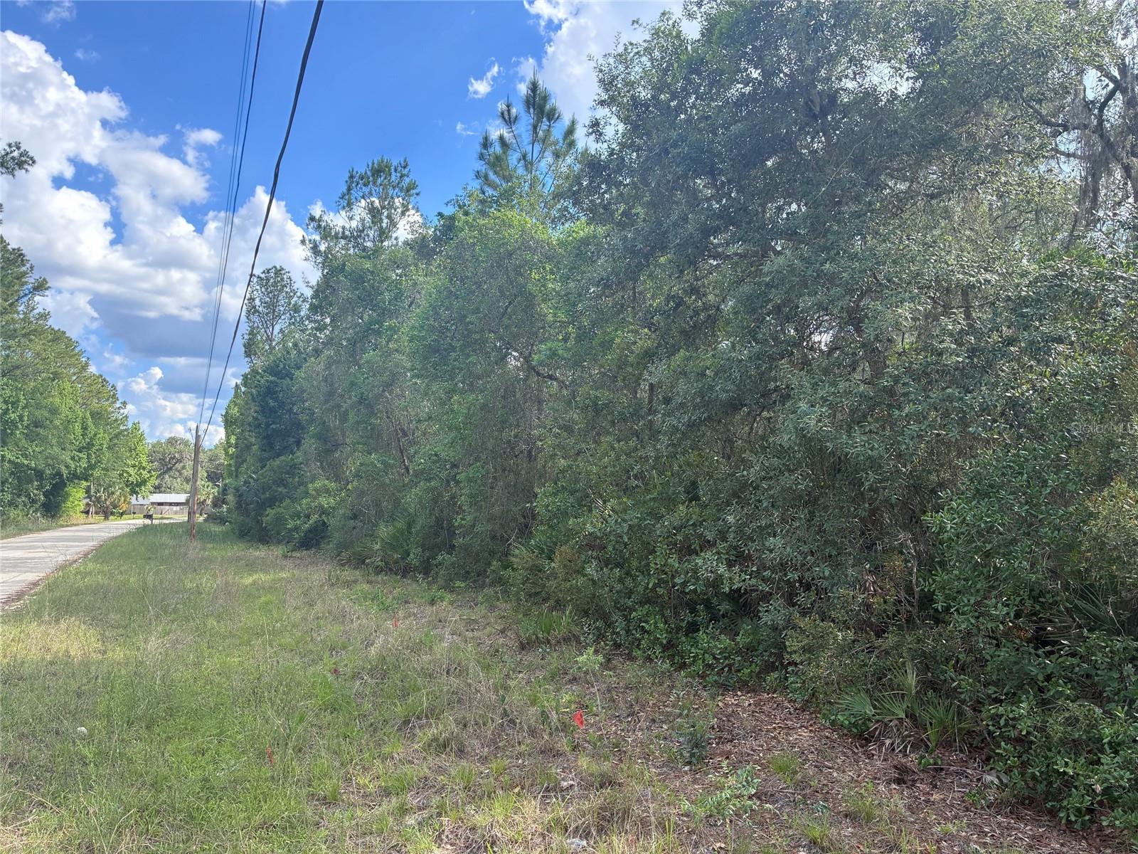 16464 NE 35 RD, CITRA, FL, 32113