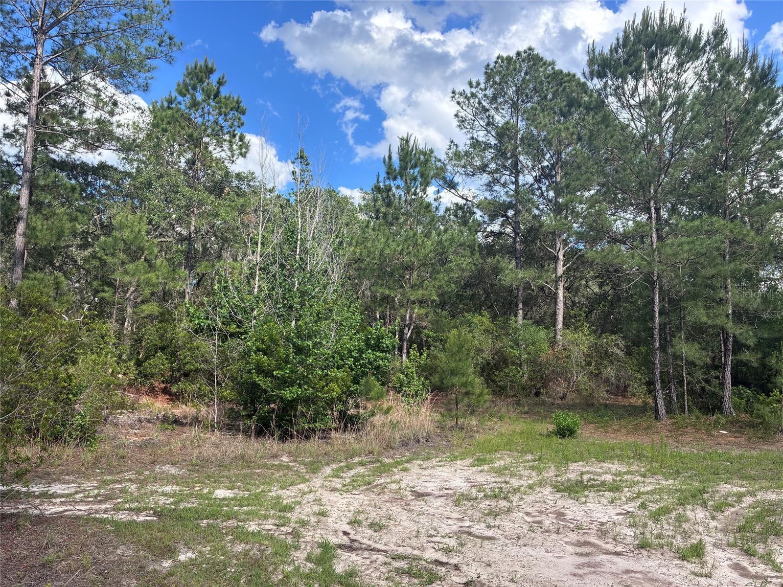 16464 NE 35 RD, CITRA, FL, 32113