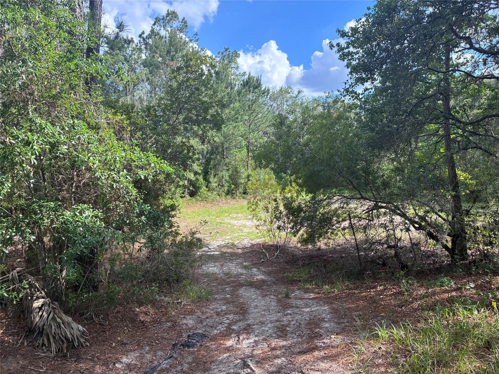 16464 NE 35 RD, CITRA, FL, 32113