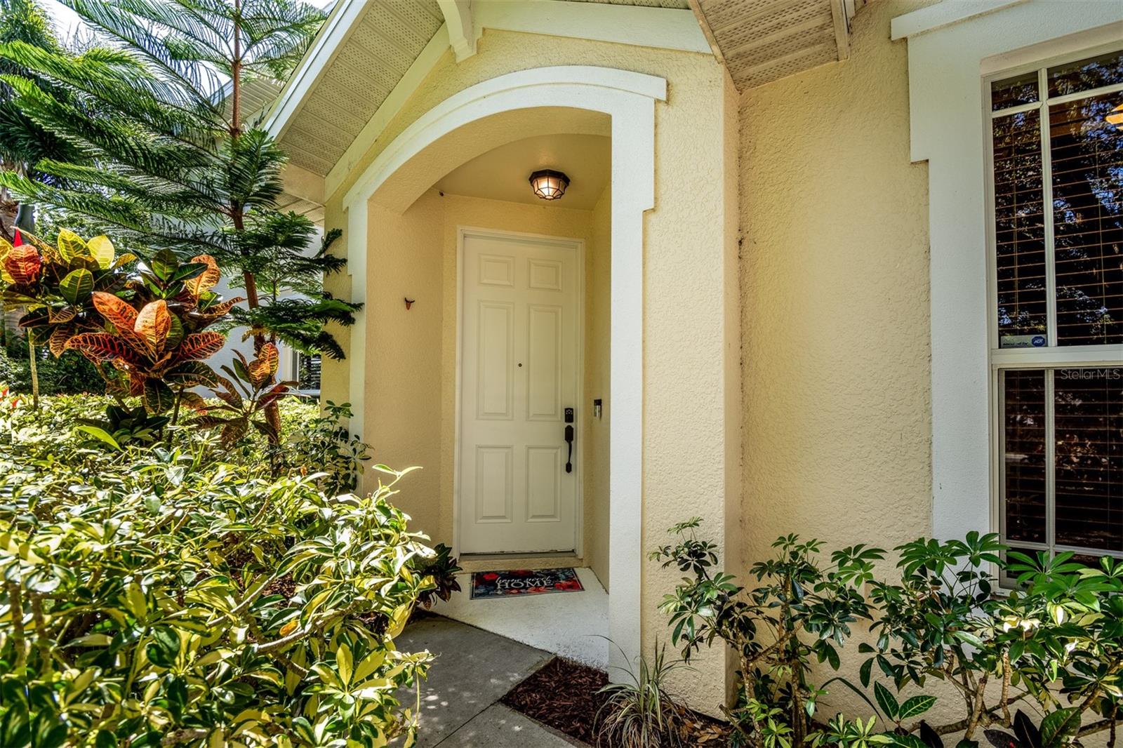 403 HARBOR RIDGE DR, PALM HARBOR, FL, 34683