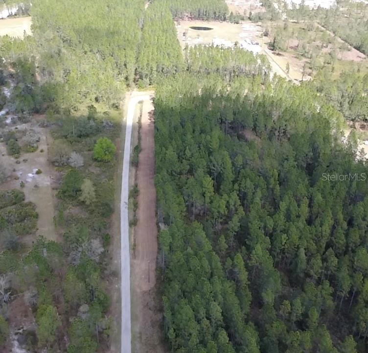 859 WILD CUR RD, PIERSON, FL, 32180