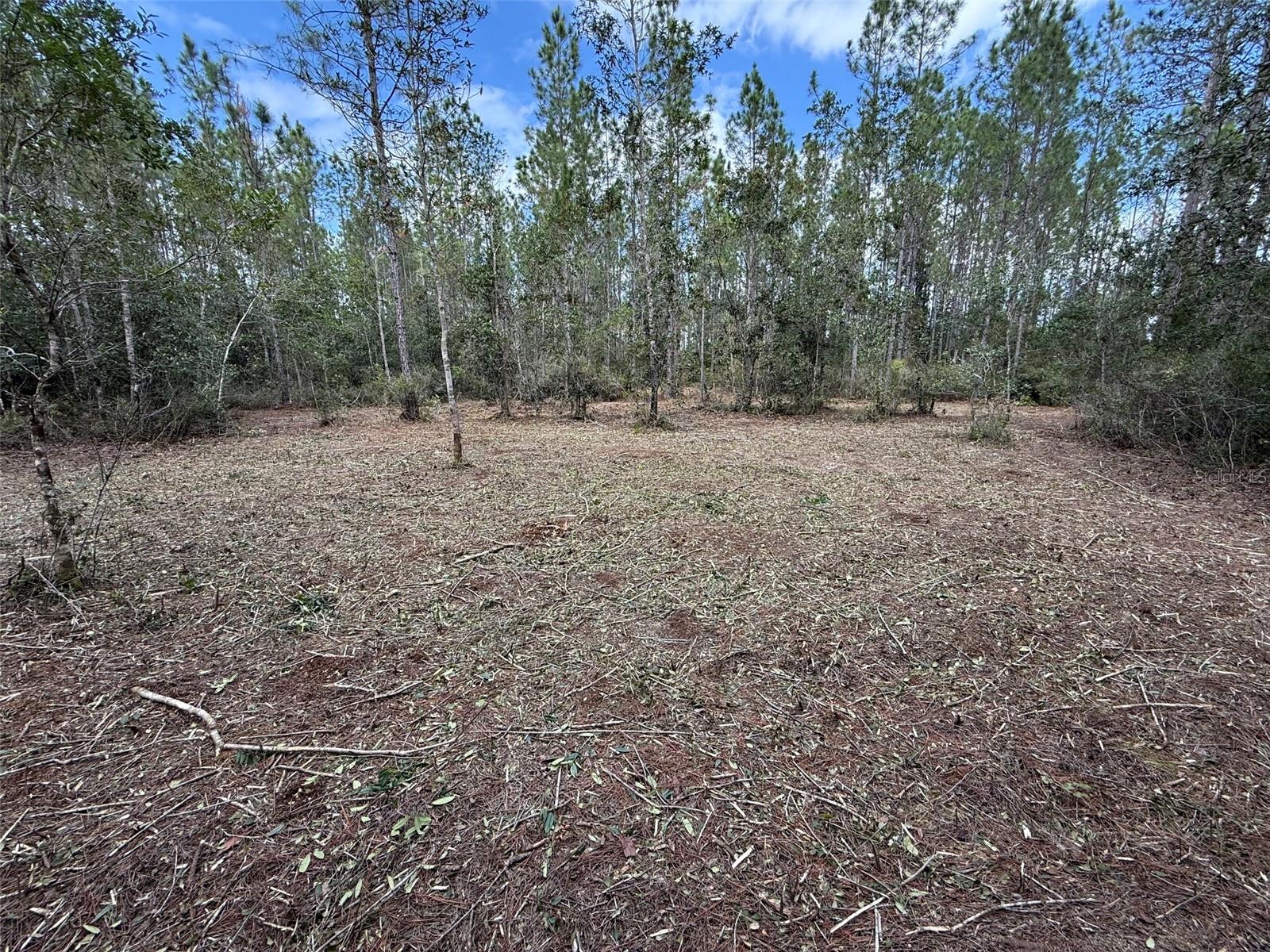 859 WILD CUR RD, PIERSON, FL, 32180