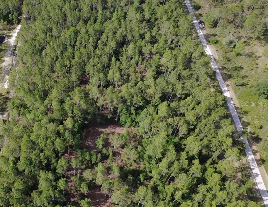 859 WILD CUR RD, PIERSON, FL, 32180