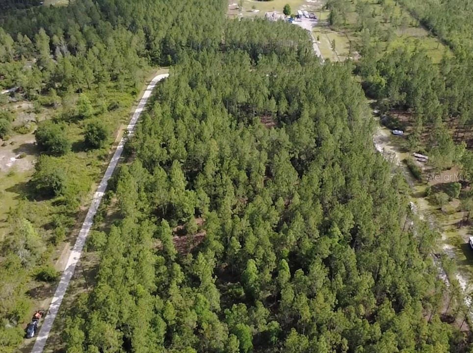 859 WILD CUR RD, PIERSON, FL, 32180