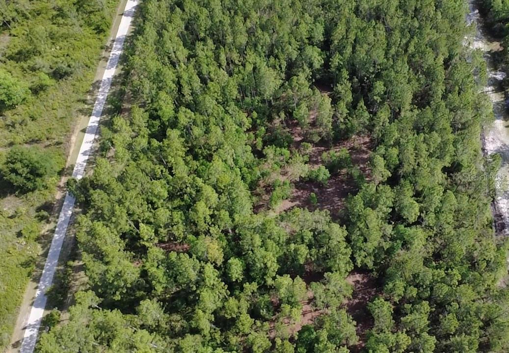 859 WILD CUR RD, PIERSON, FL, 32180