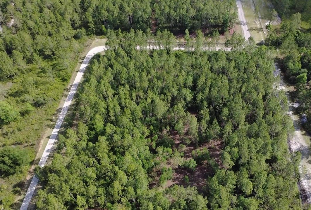 859 WILD CUR RD, PIERSON, FL, 32180