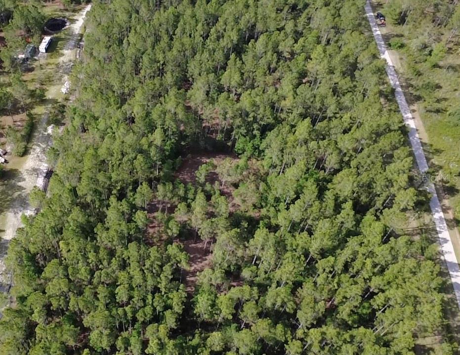 859 WILD CUR RD, PIERSON, FL, 32180