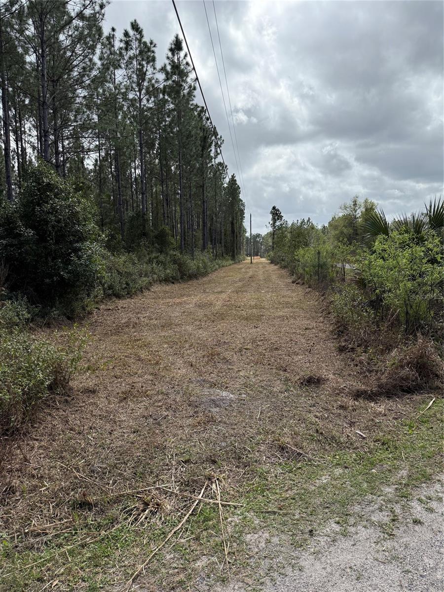 859 WILD CUR RD, PIERSON, FL, 32180