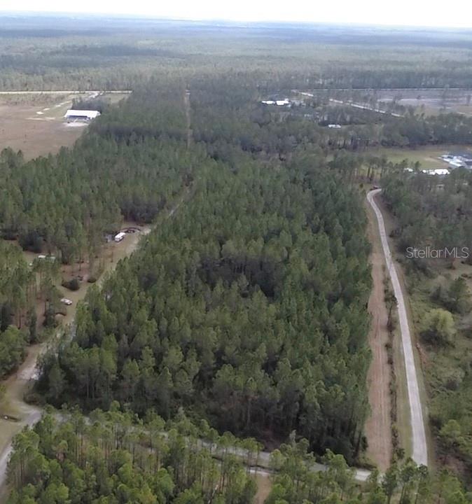 859 WILD CUR RD, PIERSON, FL, 32180
