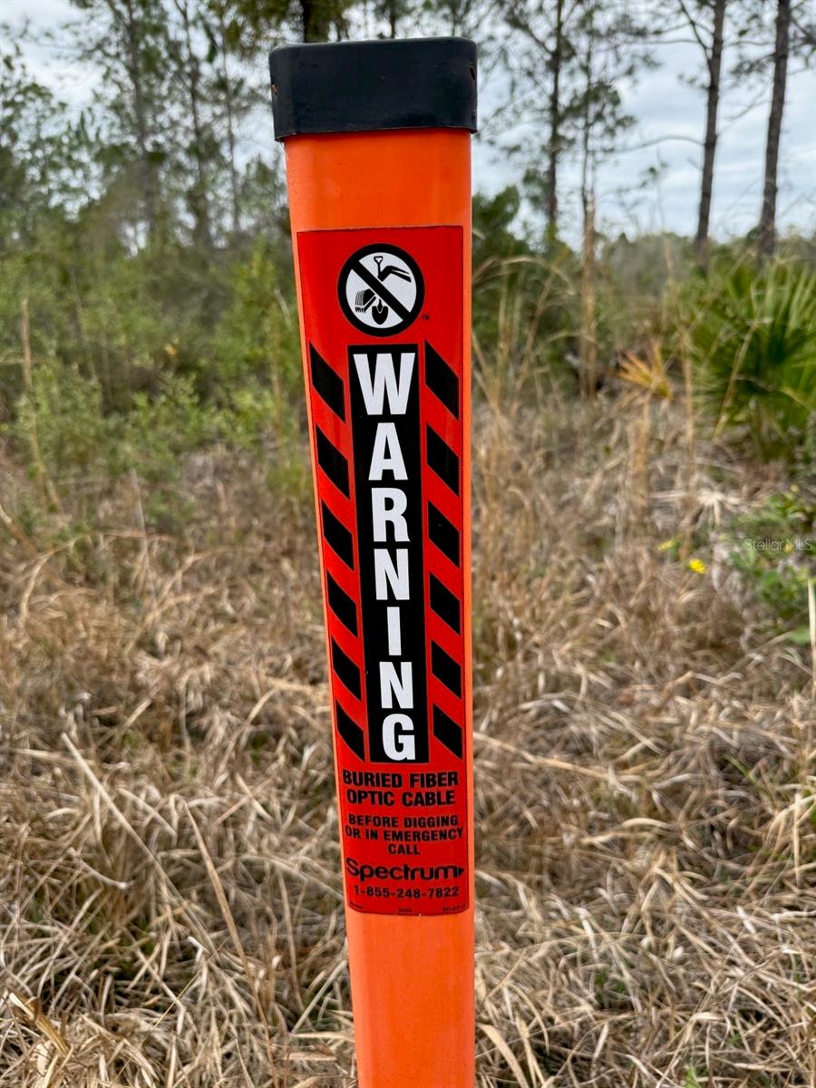 859 WILD CUR RD, PIERSON, FL, 32180